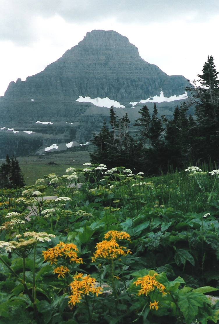 Glacier National Park, Montana