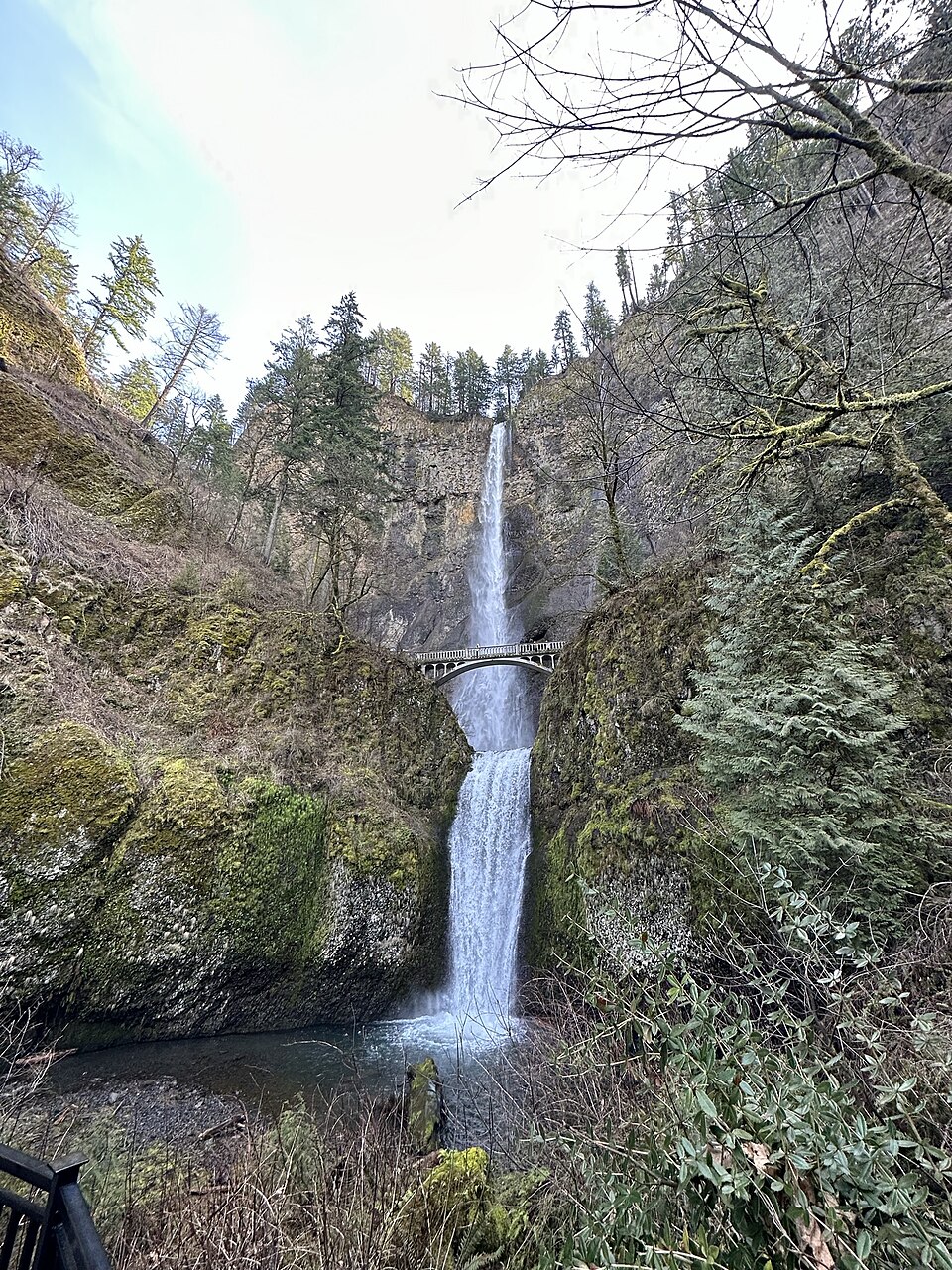 Multnomah Falls area, Columbia River Gorge, Oregon